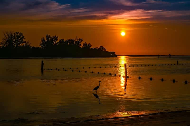 1. Pascagoula, Mississippi (Image Credits: Pixabay)