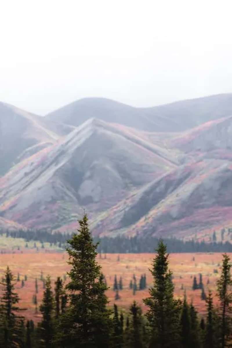 Skipping the crowds entirely at lesser visited parks (Image Credits: Pexels)