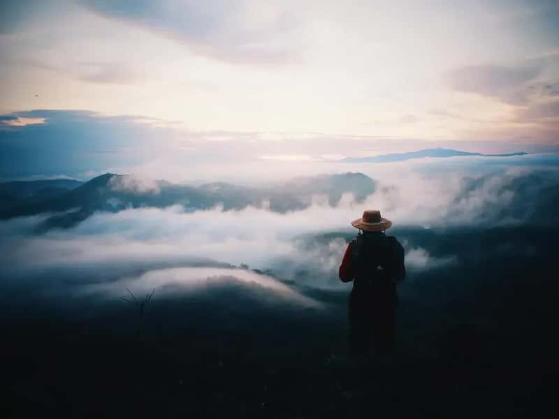 The Freedom Factor Is Real (Image Credits: Pixabay)