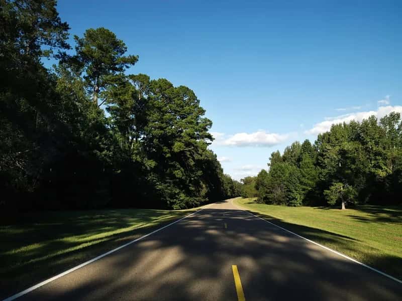 #18. Natchez Trace Parkway - Tennessee, Alabama & Mississippi (Image Credits: Rawpixel)