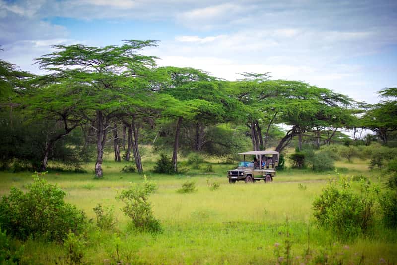 Regional Hotspots Attracting Visitors Despite Warnings (Image Credits: Unsplash)