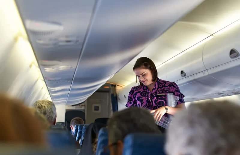 5. "We ask you to please remain seated as Captain Kangaroo bounces us to the terminal." (peter burge, Flickr, CC BY 2.0)