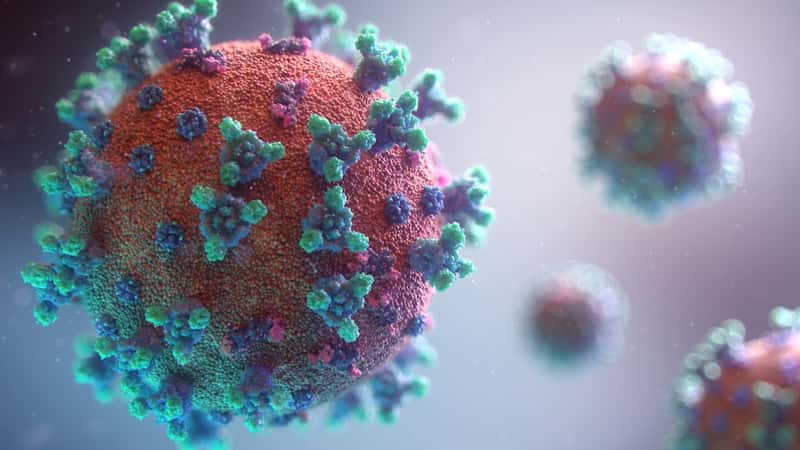 The Pandemic Effect on Travel Policing (Image Credits: Unsplash)