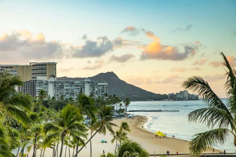 8. International visitors are staying away in larger numbers (Image Credits: Pexels)