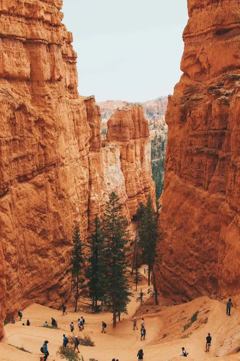 #16 – Bryce Canyon National Park, Utah: The Hoodoos Lure You Down and Won't Let You Back Up (Image Credits: Unsplash)