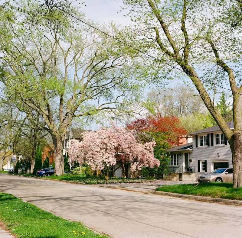 Spring: popular, pleasant, and pricier than it looks (Image Credits: Unsplash)