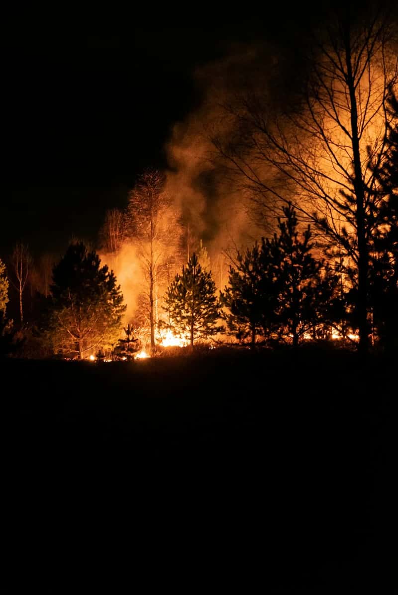 The Lahaina Wildfire That Changed Maui Forever (Image Credits: Unsplash)