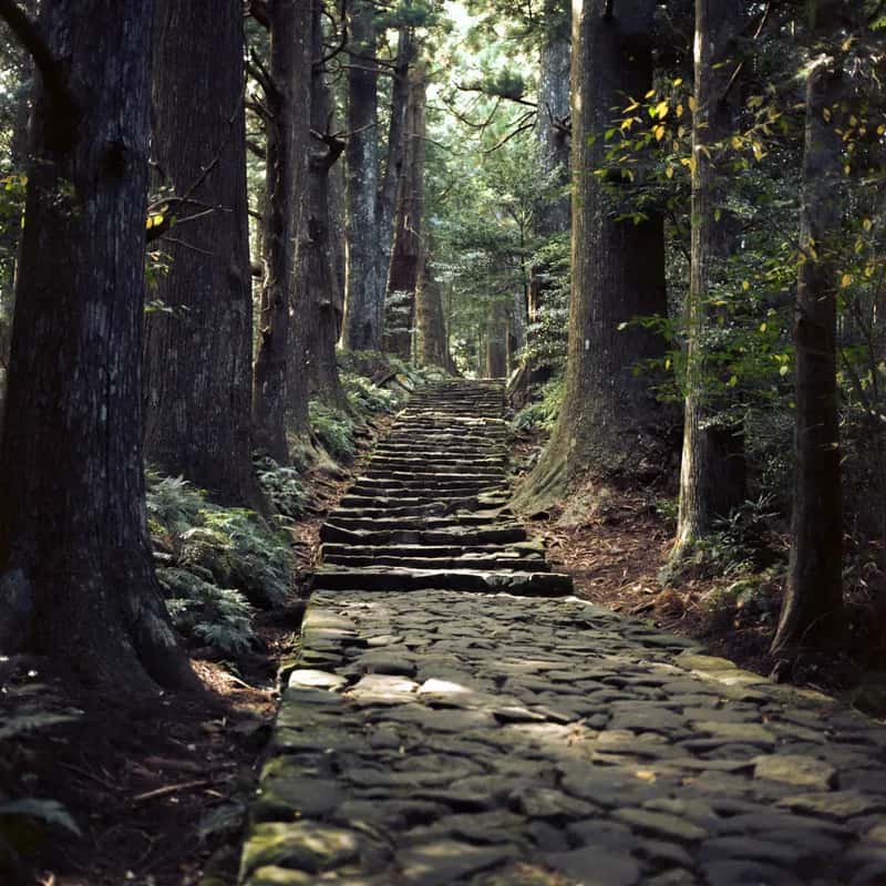 #5 - Japan’s Kumano Kodo Pilgrimage Trail (mathias-erhart, Flickr, CC BY-SA 2.0)
