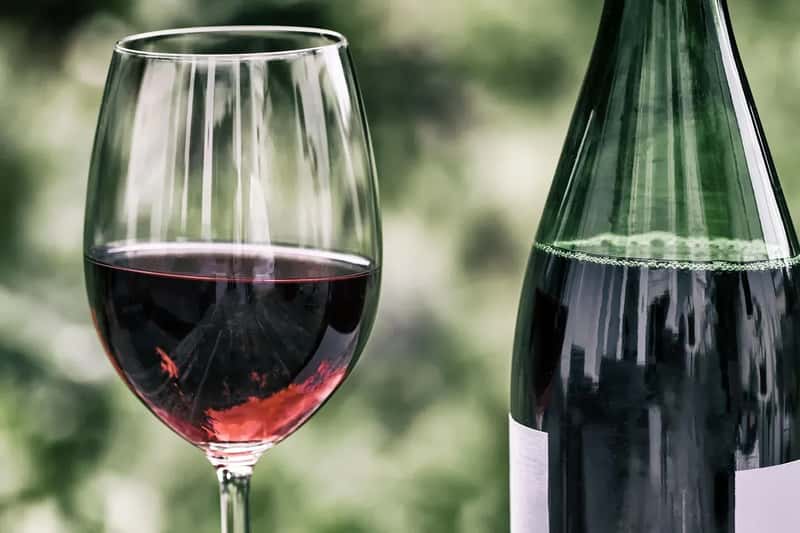 6. Meals paired with wine or other alcohol service (Image Credits: Pixabay)