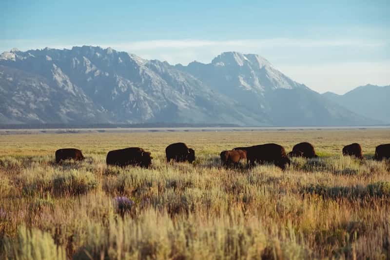9. Wyoming (Image Credits: Unsplash)