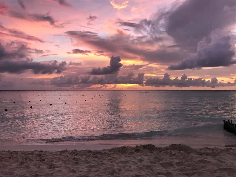 Where I'd Look Instead (Image Credits: Pixabay)