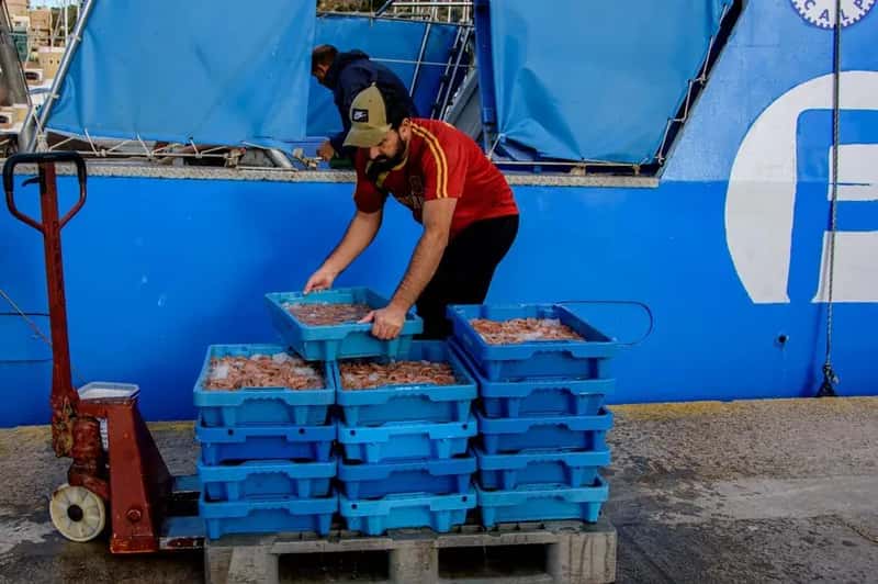 Livelihoods and Jobs Across the Sector (Image Credits: Pexels)