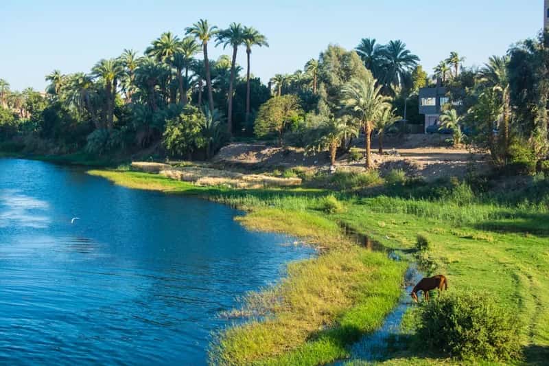 5. Egypt: Treated, But Still Risky for Visitors (Image Credits: Unsplash)