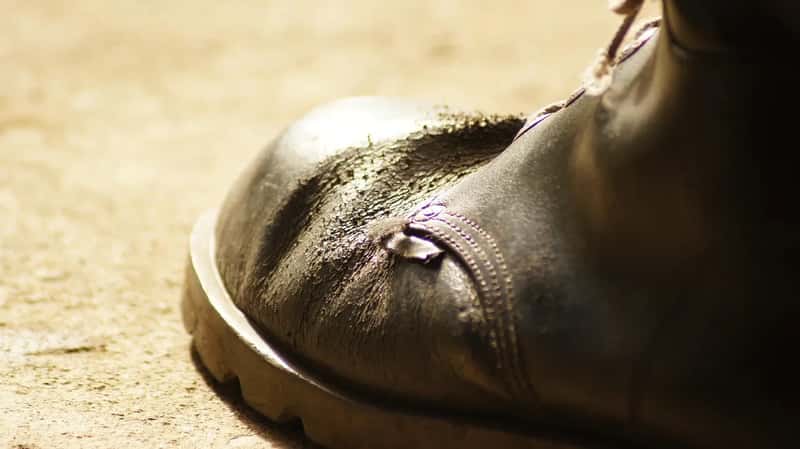 Soil and Mud on Your Shoes After a Farm Visit (Image Credits: Pixabay)