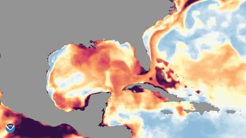 Iran: the Persian Gulf's humid heat problem (Extreme Ocean Temperatures Are Affecting Florida’s Coral Reef, Public domain)