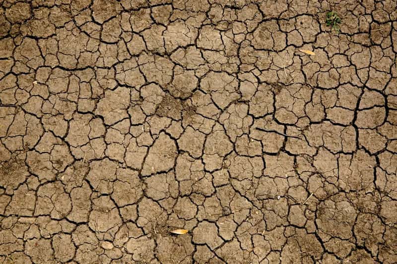 Skip or Rethink: Southern Africa's Rainy Season (Image Credits: Unsplash)
