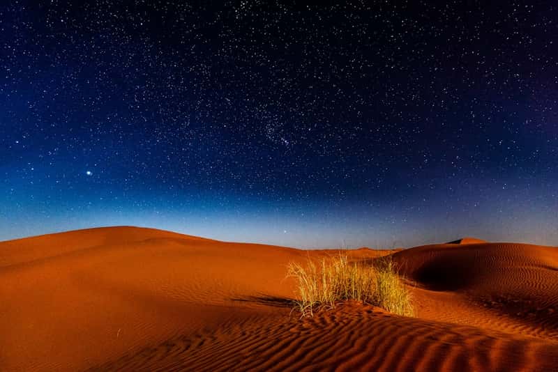 Sleep Under a Sea of Stars in the Sahara (Image Credits: Unsplash)