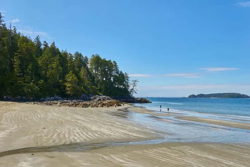 2. Tofino, British Columbia: A Surf Town Swamped by Its Own Reputation (Image Credits: Pixabay)