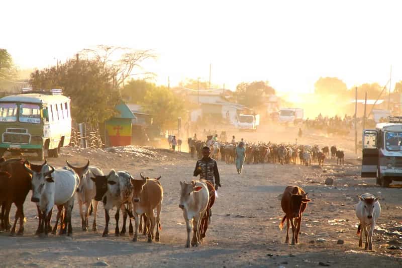 3. Ethiopia (Image Credits: Unsplash)