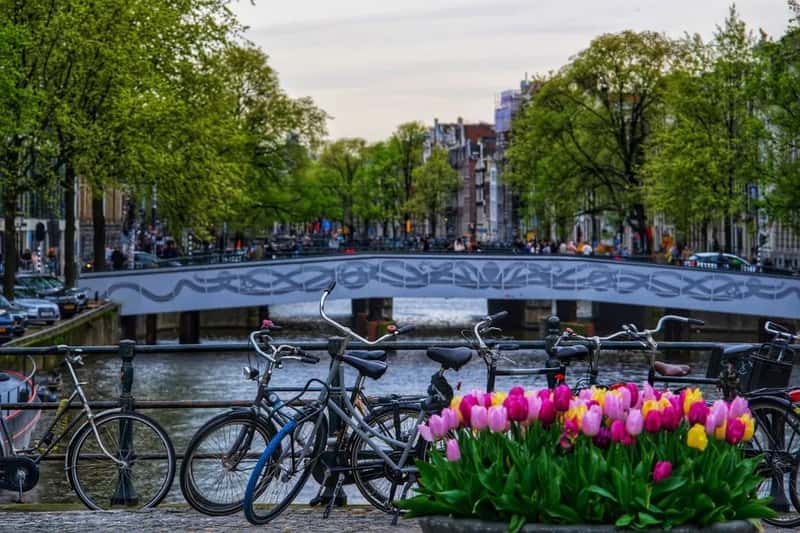 1. Netherlands (Image Credits: Pexels)