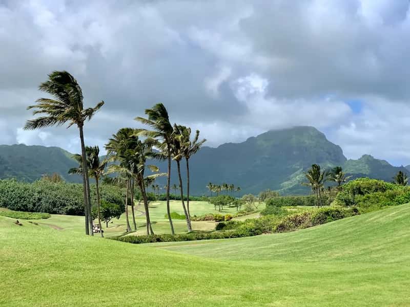 The Sharp Turn Toward The Islands (Image Credits: Unsplash)