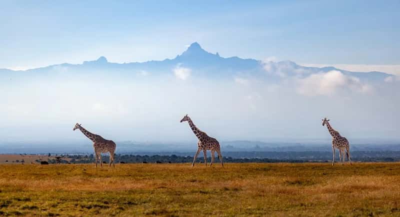 Kenya (Image Credits: Unsplash)