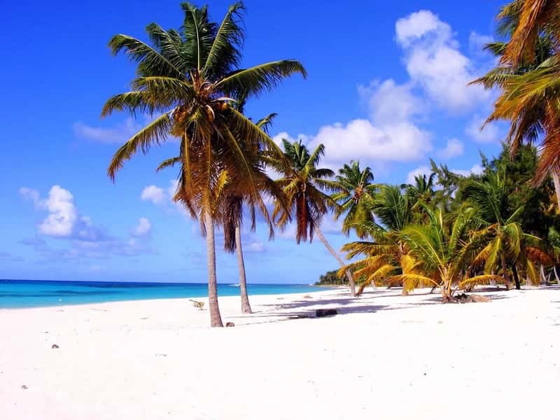 2. Dominica (Image Credits: Pixabay)