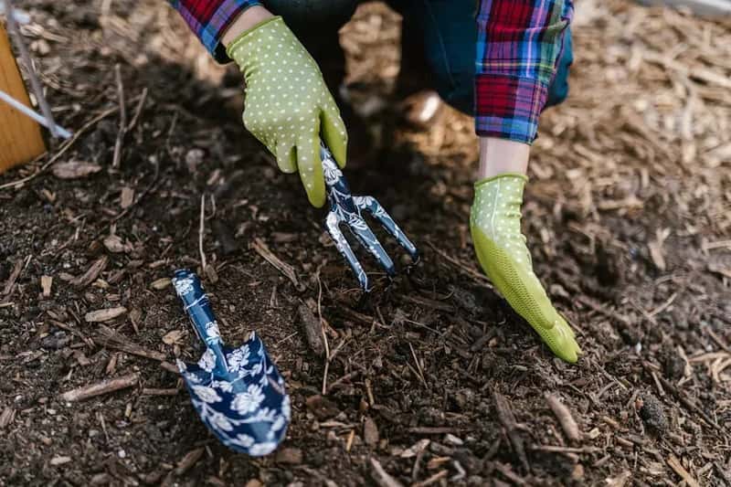 #2 - No-Dig Gardening Outperforms Traditional Digging - and Has the Results to Prove It (Image Credits: Pexels)