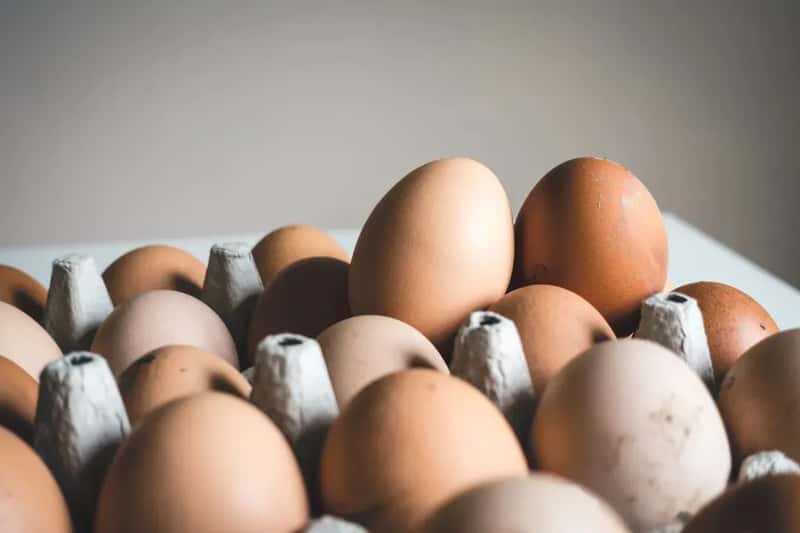 #16 - Fresh Eggs From the Egg Man (Image Credits: Unsplash)