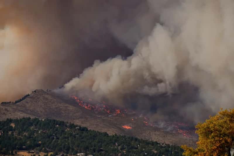 A wildfire season that changed the math early (Image Credits: Unsplash)