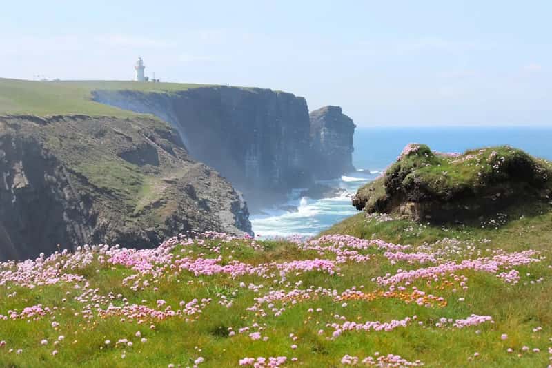 Ireland: A Welcome Rooted in Shared History (Image Credits: Unsplash)
