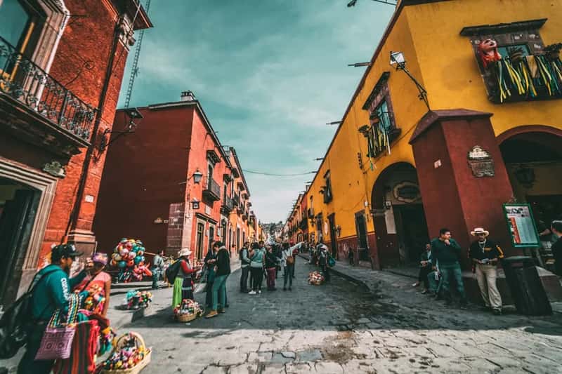A migration that keeps building momentum (Image Credits: Unsplash)