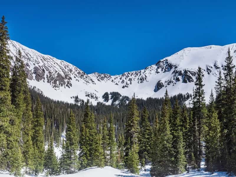 4. Great Basin National Park, Nevada (Image Credits: Unsplash)