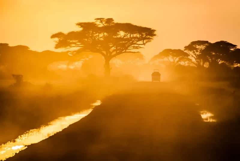 5. South Africa: Safari Country on a Dollar Budget (Image Credits: Unsplash)