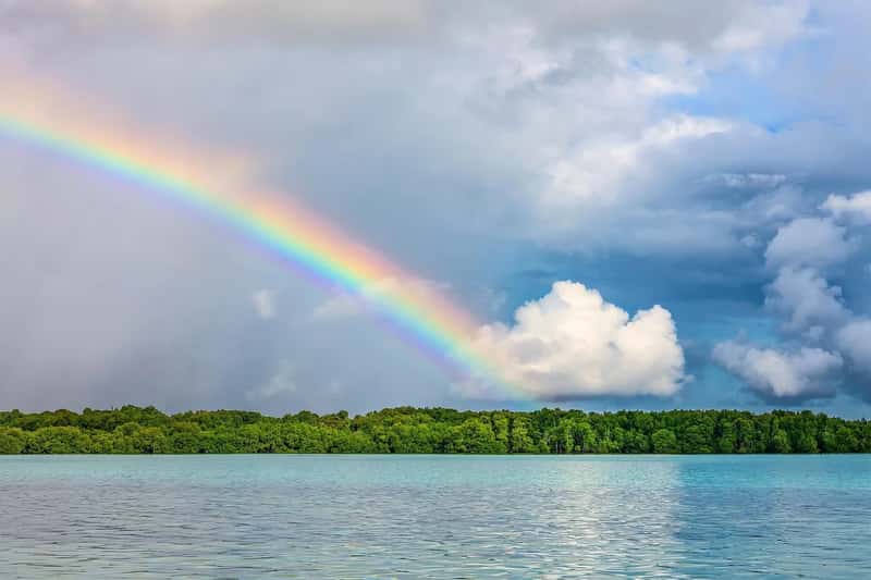Nauru (Image Credits: Pixabay)
