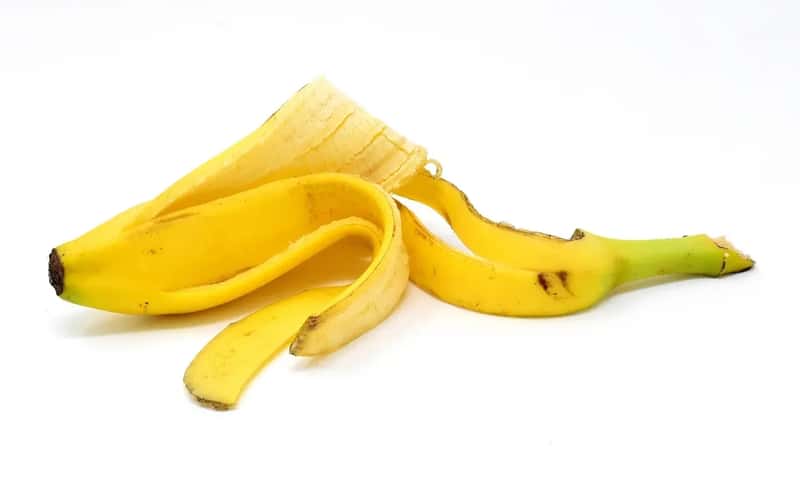 #9 - Hang a Banana Peel Near Your Feeder to Attract Their Favorite Protein (Image Credits: Pixabay)