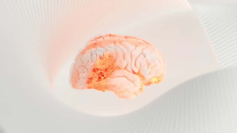 7. Brain fog and trouble concentrating (Image Credits: Unsplash)