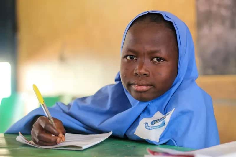 8. Guinea (Image Credits: Pexels)