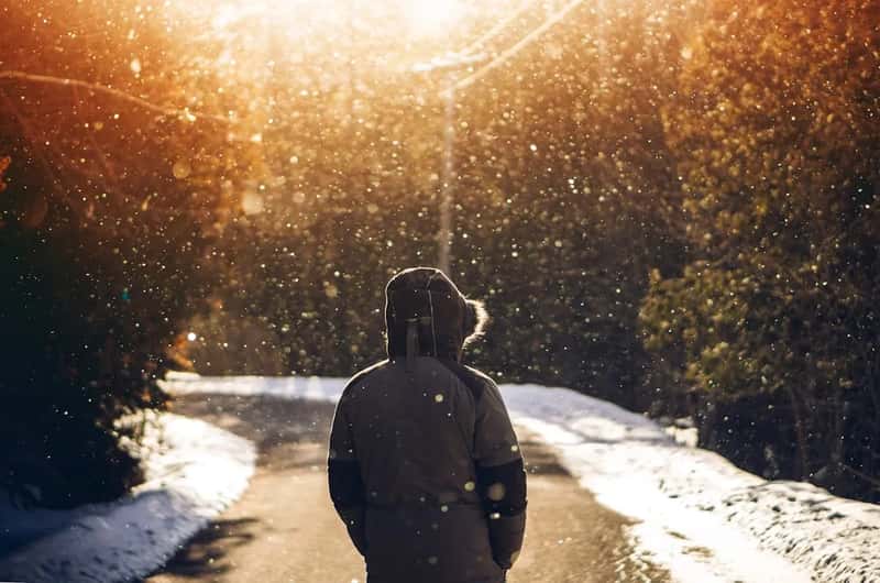 Seasonal climate windows that shape the first year abroad (Image Credits: Unsplash)
