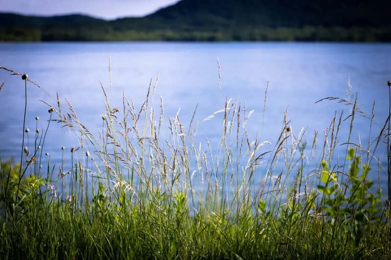 #12 - Cave Run Lake, Kentucky: Daniel Boone Country Most Road-Trippers Never Stop For (Image Credits: Shutterstock)