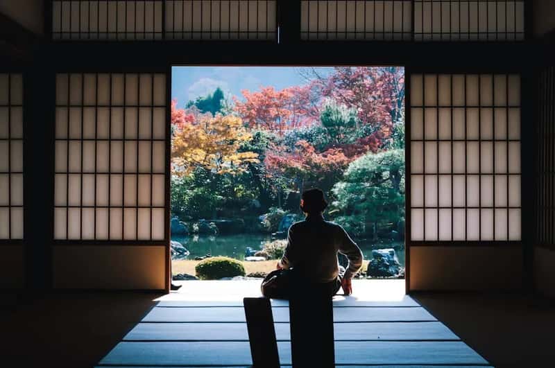 2. Japan: Courtesy Taken to an Art Form (Image Credits: Unsplash)