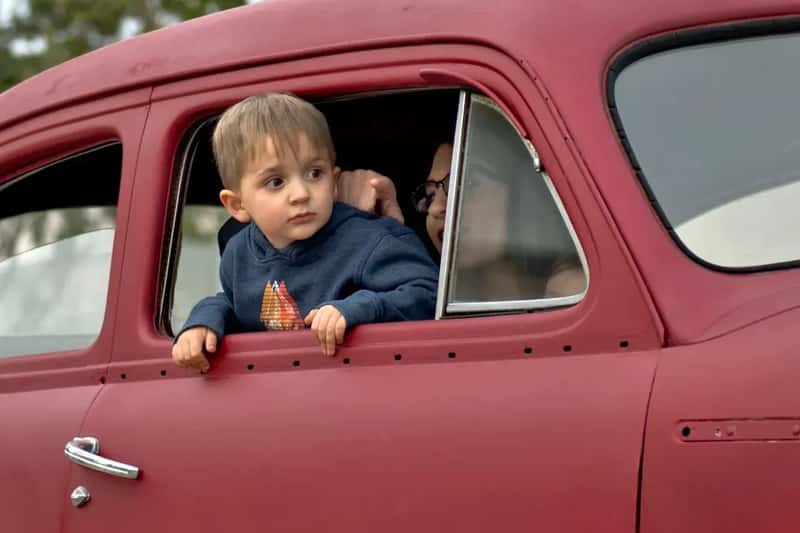 #3 - Riding in the Back Window of the Station Wagon (Image Credits: Unsplash)