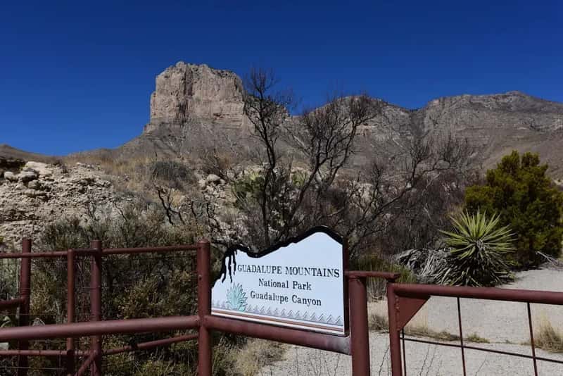 Guadalupe Mountains National Park, Texas (Image Credits: Unsplash)