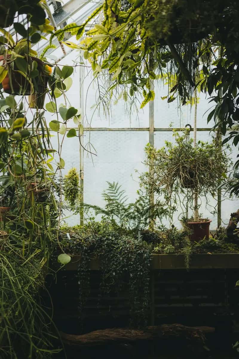 #14 - A Greenhouse Window Jutted Out Over the Sink (Image Credits: Unsplash)