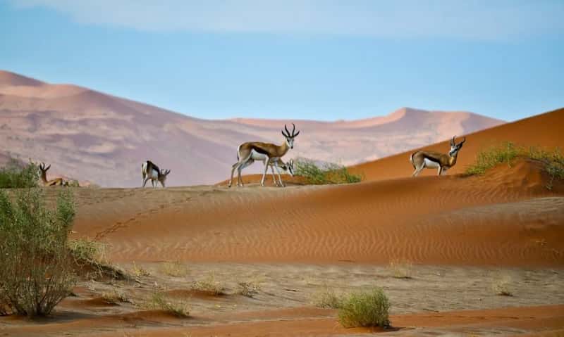 10. Namibia (Image Credits: Unsplash)