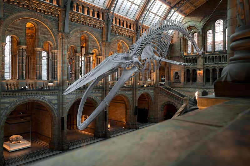 Explore World-Class Museums for Free (Image Credits: Pixabay)