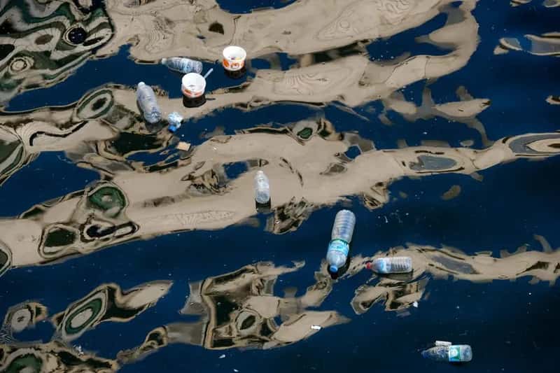 When the River Turned Toxic (Image Credits: Pexels)