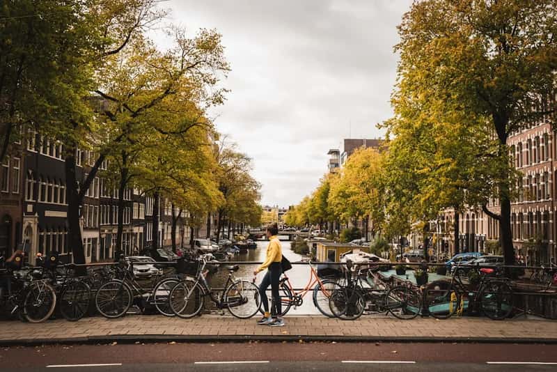 7. The Netherlands: a steady, unshowy contender (Image Credits: Unsplash)
