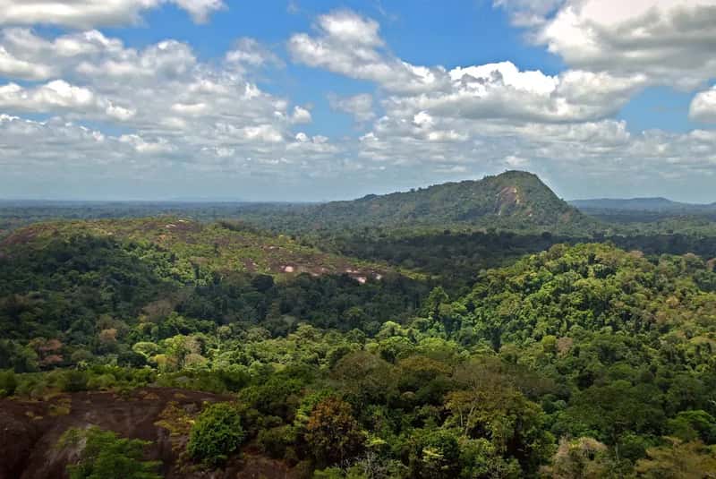 10. Suriname: South America's Outlier (Image Credits: Wikimedia)