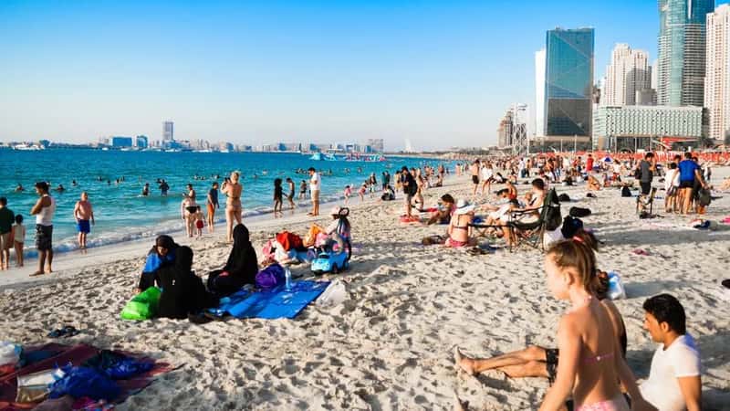 From Record Arrivals to a Sudden Slump (Image Credits: Pexels)